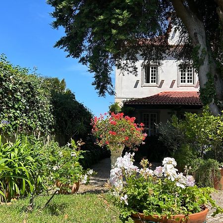 Villa Branca Jacinta Sintra Bagian luar foto
