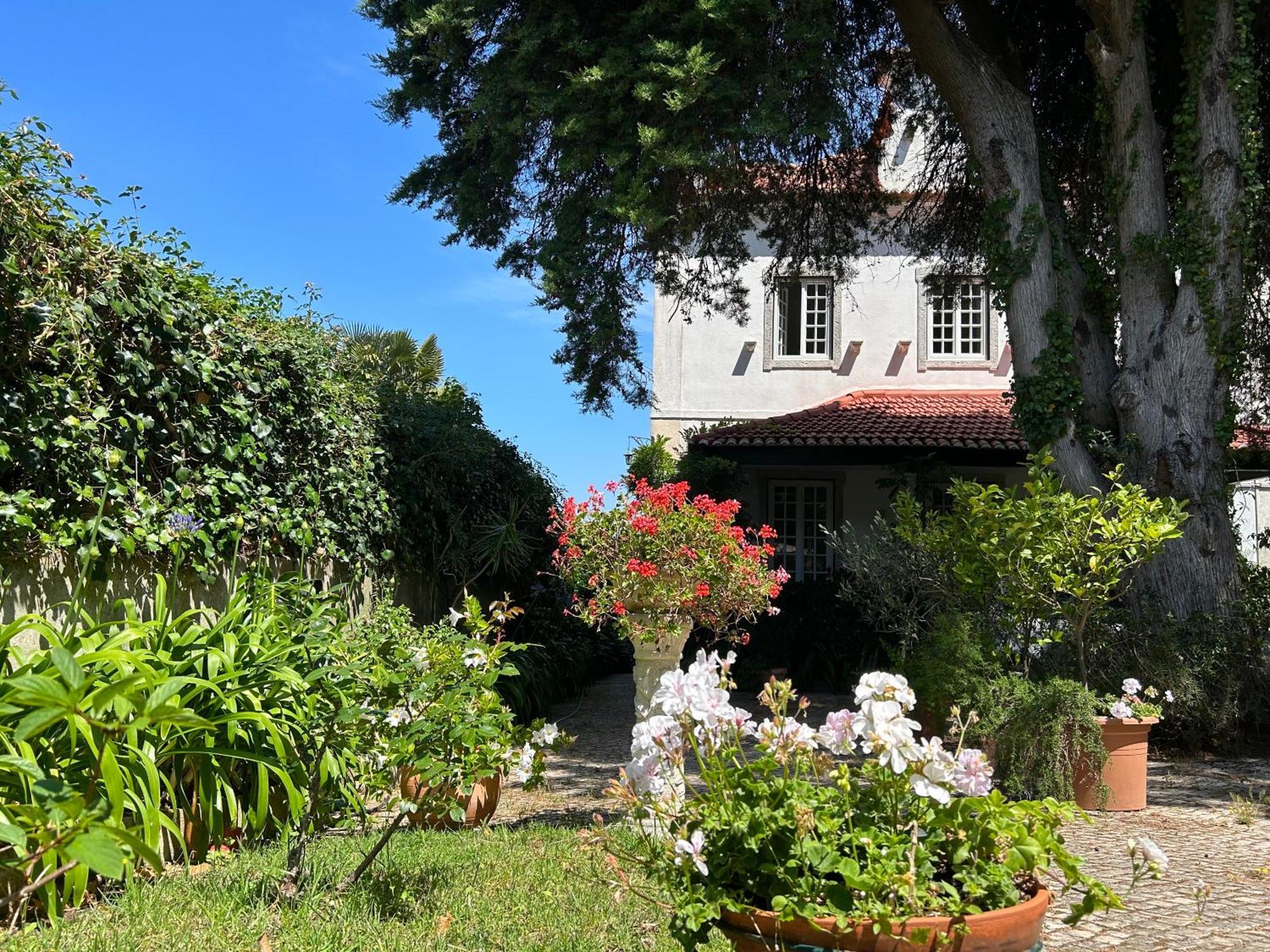 Villa Branca Jacinta Sintra Bagian luar foto
